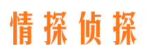 明山市私人侦探